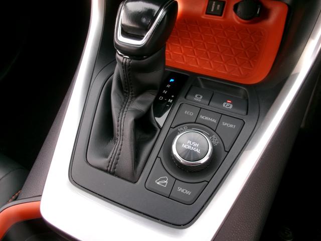 ＲＡＶ４ アドベンチャー　アルパイン９インチナビ・Ｂカメラ・ＨＤＭＩ接続可・ＤＶＤ再生・Ｂｌｕｅｔｏｏｔｈ接続・フルセグ・ＥＴＣ・純正フロアマット・サイド・アダプティブクルコン・・ルーフレール・前後ドラレコ・エンジンスターター（48枚目）