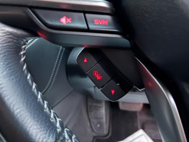 インプレッサスポーツ 2.0i-Lアイサイト 純正8インチナビ・フルセグ・バックカメラ・サイドカメラ・ETC・ドラレコ・BLIS・クルコン・衝突軽減ブレーキ・レーンキープ・アイドリングストップ・横滑り防止・ヒルホールド・SRH・RAB・nanoe(40枚目)