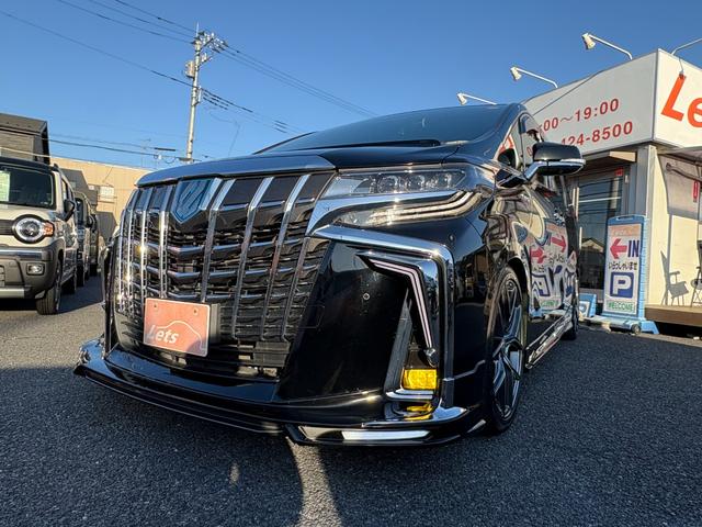 アルファードハイブリッド エグゼクティブラウンジＳ　ＷＡＬＤフルエアロ／ＷＡＬＤ２０インチＡＷ／サンルーフ／メーカーナビＬＢＬ／後席モニター／ビルシュタイン車高調／Ｂｉｏｔブレーキローター／本革シート／シートヒーター・ベンチレーション／衝突軽減装置／（8枚目）