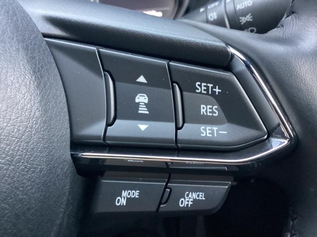 ＣＸ－８ ２．２　ＸＤ　プロアクティブ　ディーゼルターボ　４ＷＤ　マツダコネクトナビ　ＣＤ／ＤＶＤプレーヤー＋地上デジタルＴＶチューナー（フルセグ）　ＢＯＳＥサウンドシステム（ＡＵＤＩＯＰＩＬＯＴ２＋Ｃｅｎｔｅｒｐｏｉｎｔ２）＋１０スピーカー　ルーフレール＋パワーリ（23枚目）
