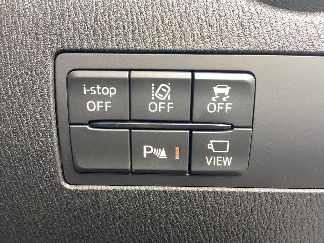 MAZDA2 1.5 15BD 4WD LEDヘッドライト イモビライザー Bluetooth レーダークルーズコントロール ハイビームコントロール SCBC レーンキープアシスト 車線逸脱警報システム ブライングスポットモニタリング(BS(6枚目)