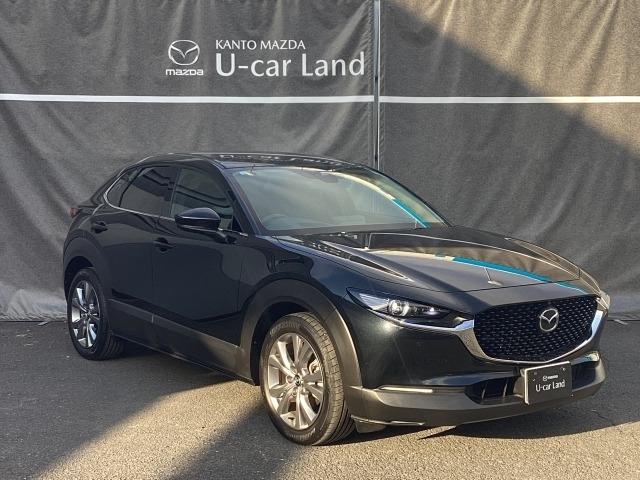 CX-30 1.8 XD プロアクティブ ディーゼルターボ マツダコネクトナビ CD/DVDプレーヤー+地上デジタルTVチューナー(フルセグ) 360°ビューモニター+ドラーバーモニタリング キーフリ 衝突被害軽減 フルセグ アイドリングストップ ドラレコ(40枚目)