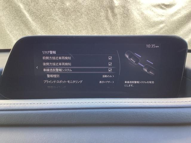 ＣＸ－３０ ２．０　２０Ｓ　プロアクティブ　ツーリングセレクション　衝突被害軽減ブレーキ　ＡＴ誤発進抑制制御　レーダークルーズコントロール　３６０度モニター　パワーシート　シートヒーター　ステアリングヒーター　ルーフレール　レーダークルーズＣ　車線逸脱防止　ナビＴＶ（15枚目）
