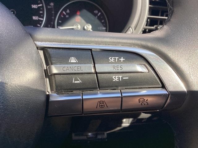 ＣＸ－３０ ２．０　２０Ｓ　プロアクティブ　ツーリングセレクション　衝突被害軽減ブレーキ　ＡＴ誤発進抑制制御　レーダークルーズコントロール　３６０度モニター　パワーシート　シートヒーター　ステアリングヒーター　ルーフレール　レーダークルーズＣ　車線逸脱防止　ナビＴＶ（23枚目）