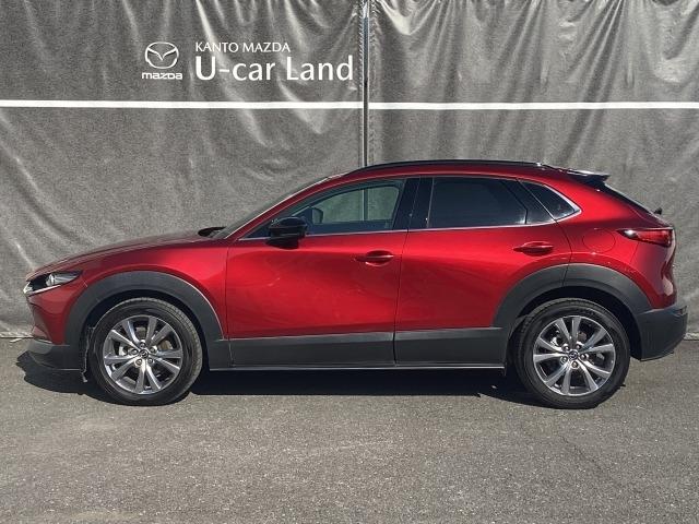 ＣＸ－３０ ２．０　２０Ｓ　プロアクティブ　ツーリングセレクション　衝突被害軽減ブレーキ　ＡＴ誤発進抑制制御　レーダークルーズコントロール　３６０度モニター　パワーシート　シートヒーター　ステアリングヒーター　ルーフレール　レーダークルーズＣ　車線逸脱防止　ナビＴＶ（36枚目）