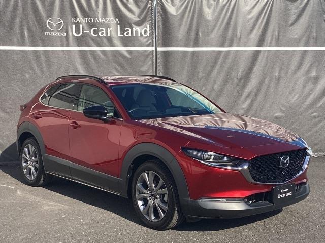 ＣＸ－３０ ２．０　２０Ｓ　プロアクティブ　ツーリングセレクション　衝突被害軽減ブレーキ　ＡＴ誤発進抑制制御　レーダークルーズコントロール　３６０度モニター　パワーシート　シートヒーター　ステアリングヒーター　ルーフレール　レーダークルーズＣ　車線逸脱防止　ナビＴＶ（40枚目）