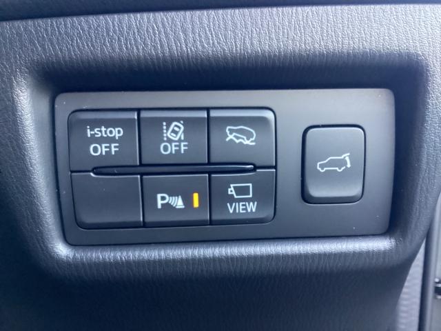 ＣＸ－５ ２．５　２５Ｓ　ブラックトーンエディション　４ＷＤ　衝突被害軽減ブレーキ　ＡＴ誤発進抑制制御　パワーシート　シートヒーター　ＢＯＳＥサウンド　３６０°ビューモニター　レーダークルーズ　横滑り防止　衝突軽減ブレーキ　Ｂｌｕｅｔｏｏｔｈ　電動リアゲート（6枚目）