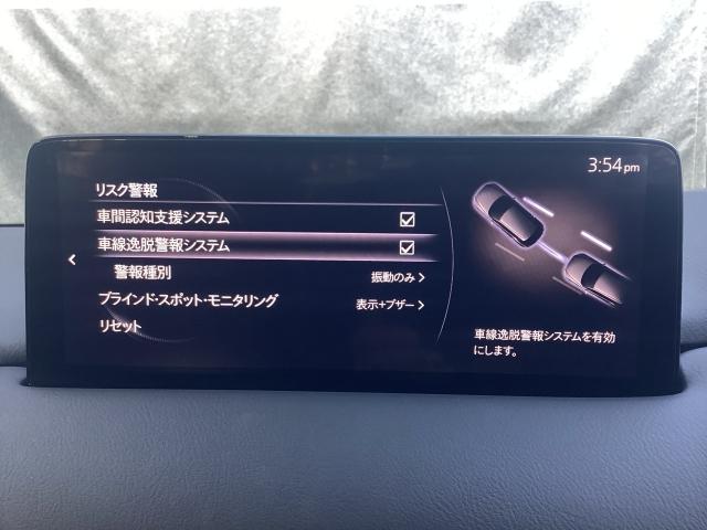 ＣＸ－５ ２．５　２５Ｓ　ブラックトーンエディション　４ＷＤ　衝突被害軽減ブレーキ　ＡＴ誤発進抑制制御　パワーシート　シートヒーター　ＢＯＳＥサウンド　３６０°ビューモニター　レーダークルーズ　横滑り防止　衝突軽減ブレーキ　Ｂｌｕｅｔｏｏｔｈ　電動リアゲート（16枚目）