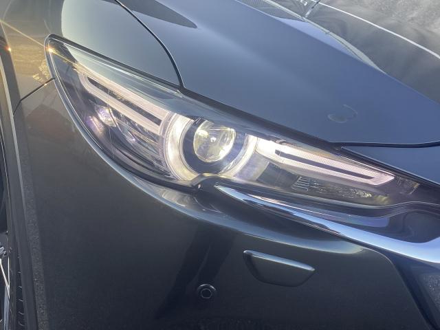 ＣＸ－５ ２．５　２５Ｓ　ブラックトーンエディション　４ＷＤ　衝突被害軽減ブレーキ　ＡＴ誤発進抑制制御　パワーシート　シートヒーター　ＢＯＳＥサウンド　３６０°ビューモニター　レーダークルーズ　横滑り防止　衝突軽減ブレーキ　Ｂｌｕｅｔｏｏｔｈ　電動リアゲート（31枚目）