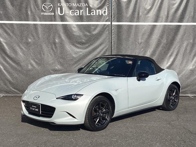 ロードスター １．５　Ｓ　スペシャルパッケージ　衝突被害軽減ブレーキ　ハイビームコントロール　ＢＯＳＥサウンド　Ｗエアバック　ブルートゥース　アドバンスドキー　１オーナー　地デジ　盗難防止装置　パワステ　ナビＴＶ　衝突安全ボディ　点検記録簿　ＡＢＳ（35枚目）