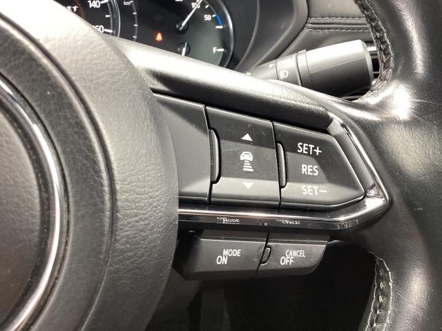 ＣＸ－８ ２．５　２５Ｔ　Ｌパッケージ　４ＷＤ　シートベンチレーション＆ヒーター　３６０度ビューモニター　ワンオーナー　レーンアシスト　Ｂｌｕｅｔｏｏｔｈ　フルセグ　ＤＶＤ　本革シート　バックカメラ　４ＷＤ　ＥＴＣ　スマートキー　ナビＴＶ　ターボ（23枚目）