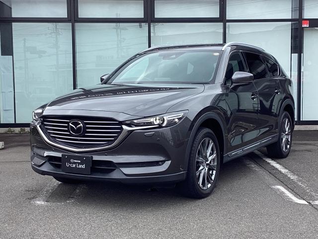 ＣＸ－８ ２．５　２５Ｔ　Ｌパッケージ　４ＷＤ　シートベンチレーション＆ヒーター　３６０度ビューモニター　ワンオーナー　レーンアシスト　Ｂｌｕｅｔｏｏｔｈ　フルセグ　ＤＶＤ　本革シート　バックカメラ　４ＷＤ　ＥＴＣ　スマートキー　ナビＴＶ　ターボ（35枚目）
