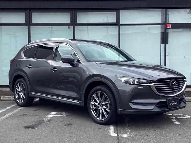 ＣＸ－８ ２．５　２５Ｔ　Ｌパッケージ　４ＷＤ　シートベンチレーション＆ヒーター　３６０度ビューモニター　ワンオーナー　レーンアシスト　Ｂｌｕｅｔｏｏｔｈ　フルセグ　ＤＶＤ　本革シート　バックカメラ　４ＷＤ　ＥＴＣ　スマートキー　ナビＴＶ　ターボ（40枚目）