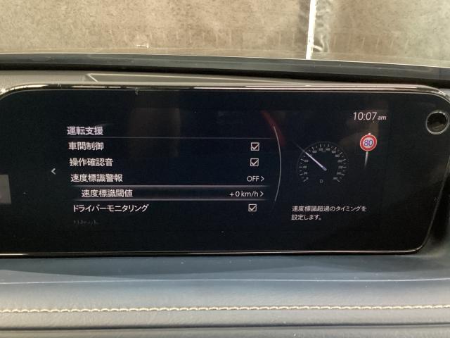 CX-30 XD プロアクティブ ツーリングセレクション 360度モニター 前後2カメラドラレコ シートヒーター ターボ車 全カメラ AUX パワステ オートハイビーム スマートキー&プッシュスタート 地デジTV メンテナンスノート ETC車載器 DVD(18枚目)