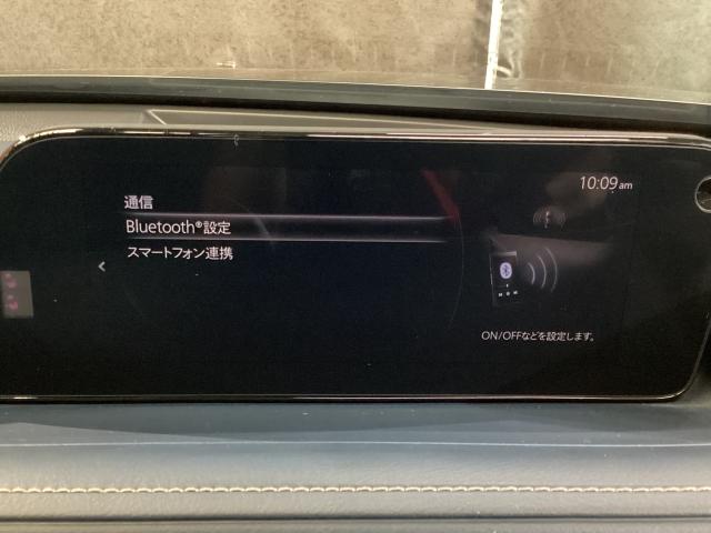 CX-30 XD プロアクティブ ツーリングセレクション 360度モニター 前後2カメラドラレコ シートヒーター ターボ車 全カメラ AUX パワステ オートハイビーム スマートキー&プッシュスタート 地デジTV メンテナンスノート ETC車載器 DVD(19枚目)