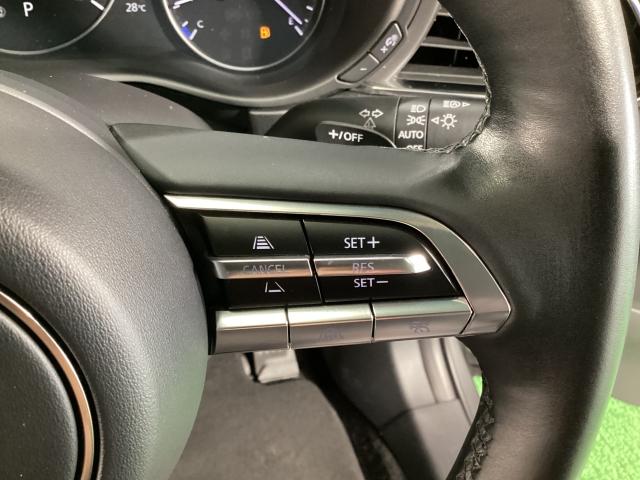 CX-30 XD プロアクティブ ツーリングセレクション 360度モニター 前後2カメラドラレコ シートヒーター ターボ車 全カメラ AUX パワステ オートハイビーム スマートキー&プッシュスタート 地デジTV メンテナンスノート ETC車載器 DVD(24枚目)