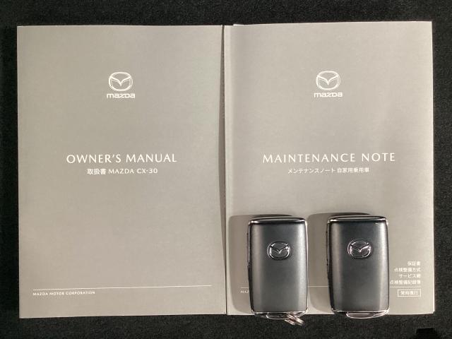 CX-30 XD プロアクティブ ツーリングセレクション 360度モニター 前後2カメラドラレコ シートヒーター ターボ車 全カメラ AUX パワステ オートハイビーム スマートキー&プッシュスタート 地デジTV メンテナンスノート ETC車載器 DVD(29枚目)