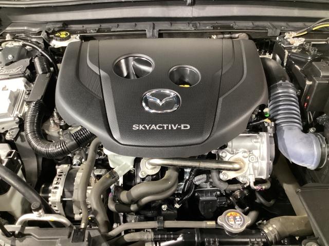 CX-30 XD プロアクティブ ツーリングセレクション 360度モニター 前後2カメラドラレコ シートヒーター ターボ車 全カメラ AUX パワステ オートハイビーム スマートキー&プッシュスタート 地デジTV メンテナンスノート ETC車載器 DVD(30枚目)