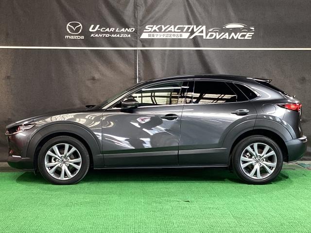 CX-30 XD プロアクティブ ツーリングセレクション 360度モニター 前後2カメラドラレコ シートヒーター ターボ車 全カメラ AUX パワステ オートハイビーム スマートキー&プッシュスタート 地デジTV メンテナンスノート ETC車載器 DVD(36枚目)