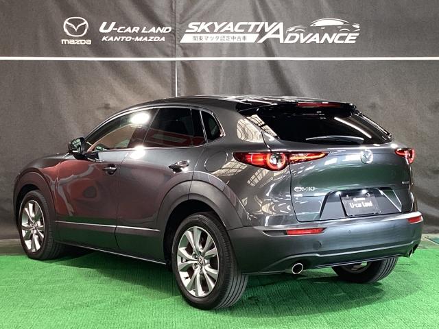 CX-30 XD プロアクティブ ツーリングセレクション 360度モニター 前後2カメラドラレコ シートヒーター ターボ車 全カメラ AUX パワステ オートハイビーム スマートキー&プッシュスタート 地デジTV メンテナンスノート ETC車載器 DVD(37枚目)