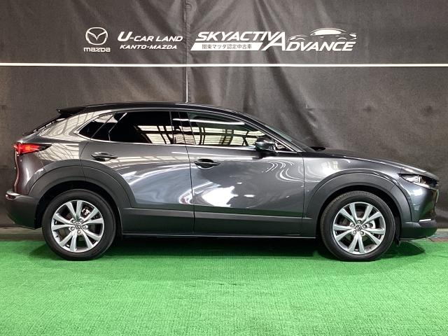 CX-30 XD プロアクティブ ツーリングセレクション 360度モニター 前後2カメラドラレコ シートヒーター ターボ車 全カメラ AUX パワステ オートハイビーム スマートキー&プッシュスタート 地デジTV メンテナンスノート ETC車載器 DVD(39枚目)