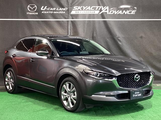 CX-30 XD プロアクティブ ツーリングセレクション 360度モニター 前後2カメラドラレコ シートヒーター ターボ車 全カメラ AUX パワステ オートハイビーム スマートキー&プッシュスタート 地デジTV メンテナンスノート ETC車載器 DVD(40枚目)