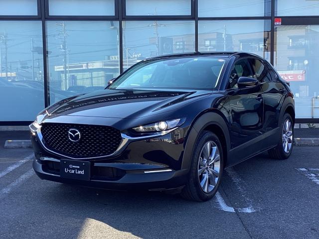 ＣＸ－３０ ２．０　２０Ｓ　プロアクティブ　２０Ｓ　ＰＲＯＡＣＴ　レーンキープ　１オーナー　ドラレコ　スマキー　ＬＥＤヘッド　レーダークルーズ　ＥＴＣ　Ｂｌｕｅｔｏｏｔｈ　バックカメラ　オートマチックハイビーム　クリアランスソナー（35枚目）