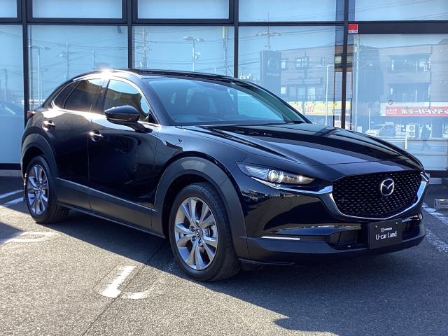 ＣＸ－３０ ２．０　２０Ｓ　プロアクティブ　２０Ｓ　ＰＲＯＡＣＴ　レーンキープ　１オーナー　ドラレコ　スマキー　ＬＥＤヘッド　レーダークルーズ　ＥＴＣ　Ｂｌｕｅｔｏｏｔｈ　バックカメラ　オートマチックハイビーム　クリアランスソナー（40枚目）