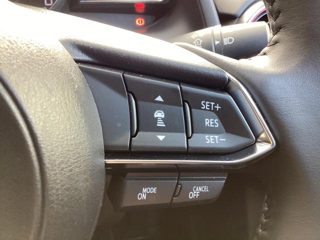 MAZDA2 1.5 15スポルト 360度ビュー 6MT 車線逸脱警報システム AUX ドラレコ ETC車載器 フルセグ レーダークルーズコントロール USB ワンオーナ DVD アイドリングストップ オートハイビーム スマートキー(21枚目)