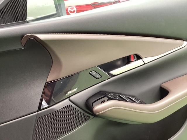 ＣＸ－３０ ２．０　２０Ｓ　ツーリング　２０Ｓ　ＴＲＧ　本革シート　３６０度ビュー　デモカー　衝突軽減ブレーキ　アルミホイール　クリアランスソナー　フルセグＴＶ　レーダークルーズ　パワーシート　オートライト　オートマチックハイビーム　ＥＴＣ（22枚目）