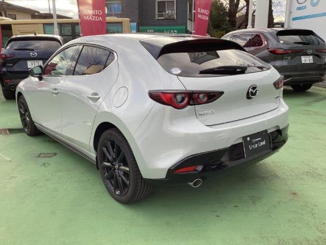 ���������铮�����N���}�Ƀf�U�C���Ƃ��ĕ\���������B���������z�������߂��}�c�_�̃f�U�C���e�[�}�������f�U�C���ł��B