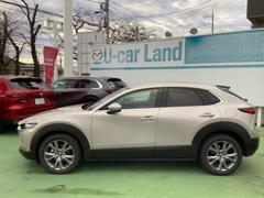 ��ż֤ϥ����ߥ󥰤����ס�������Ȼפä��餹���ˤ��䤤��碌���������᡼��Ǥ�������äǤ�� 3