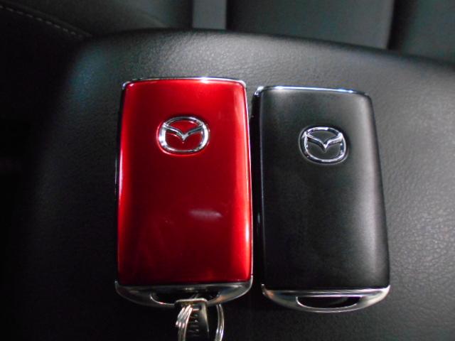 CX-3 15Sツーリング 禁煙車 i-ACTIVSENSE 純正工場装着ナビ マツダコネクト マルチビューカメラ フルセグ Bluetoothオーディオ USB SD DVD LED ETC スマートキー 社外前後ドラレコ(28枚目)