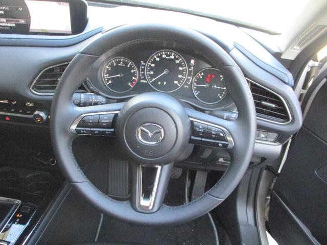 CX-30 20S 純正ナビ バックカメラ ETC レーダークルーズコントロール プッシュスタート メーカー新車保証継承(19枚目)