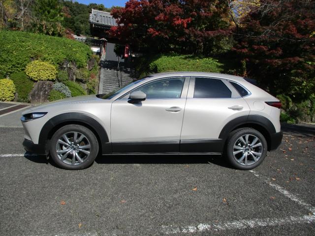 CX-30 20S 純正ナビ バックカメラ ETC レーダークルーズコントロール プッシュスタート メーカー新車保証継承(24枚目)