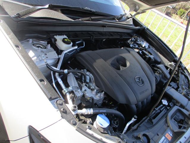 CX-30 20S 純正ナビ バックカメラ ETC レーダークルーズコントロール プッシュスタート メーカー新車保証継承(27枚目)