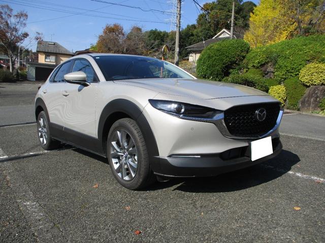 CX-30 20S 純正ナビ バックカメラ ETC レーダークルーズコントロール プッシュスタート メーカー新車保証継承(34枚目)