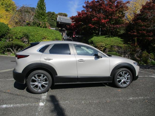 CX-30 20S 純正ナビ バックカメラ ETC レーダークルーズコントロール プッシュスタート メーカー新車保証継承(44枚目)