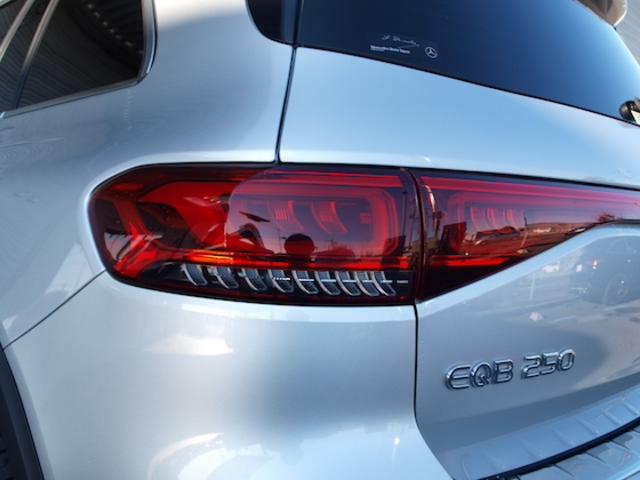 ＥＱＢ ＥＱＢ２５０　ＡＭＧラインパッケージ（8枚目）