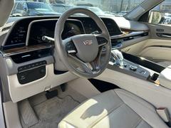 ǥå졼 ݡġǥ顼֡饹롼աãУ 0570564A20251129G001 6