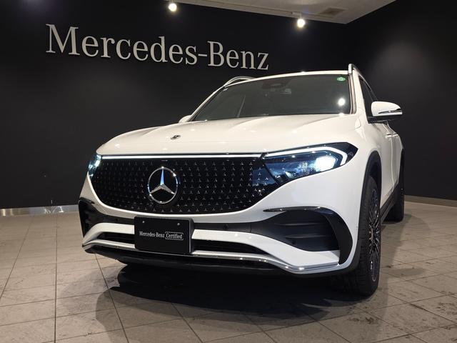 EQB EQB250+ AMGラインパッケージ(2枚目)