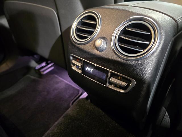 �����Z�f�X�E�x���c�̓h�C�c�{���V���c�b�g�K���g�ߍx�ł̃����Z�f�X���Ԃ��ւ�����d�厖�̂��A�S�O�N�ȏ�ɘj���Ē������Ă��܂��B�G�A�o�b�O��V�[�g�x���g�e���V���i�[�́A���̒����̌��ʐ��ݏo����܂����B