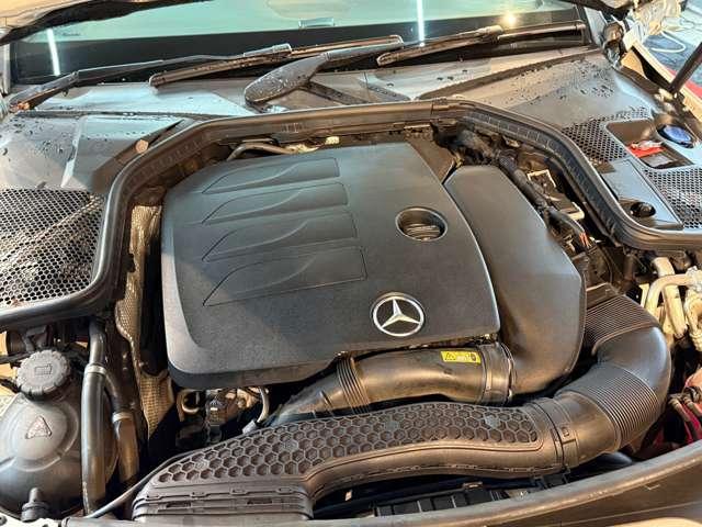 ���S�@�P�D�T�k�^�[�{�{�a�r�f�@�P�W�S�n�́@�Q�W�O�m