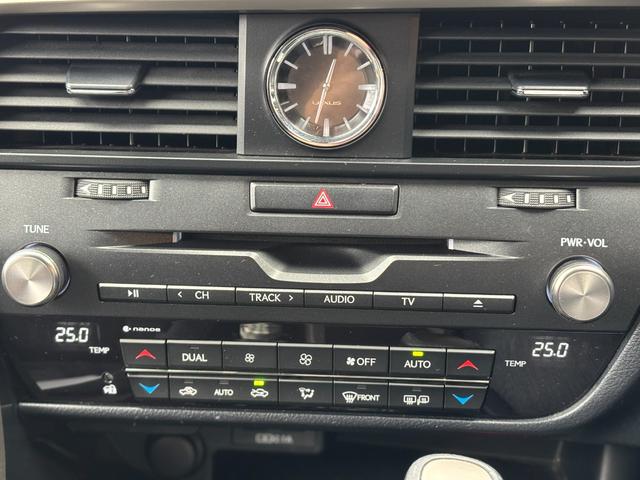 ＲＸ ＲＸ３００（33枚目）