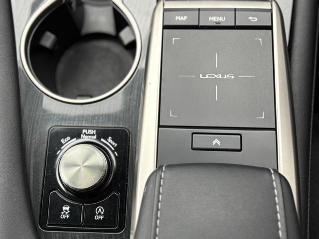 ＲＸ ＲＸ３００（34枚目）