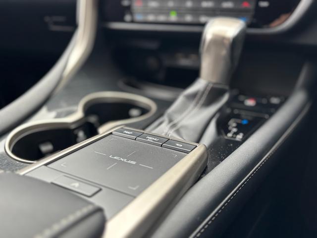 ＲＸ ＲＸ３００（35枚目）