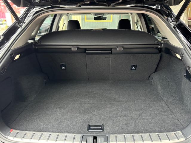 ＲＸ ＲＸ３００（49枚目）