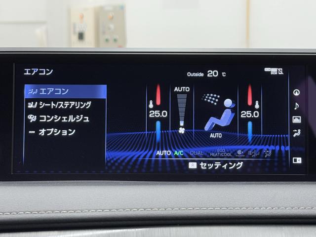 ＵＸ ＵＸ２５０ｈ　Ｆスポーツ　白革　ムーンルーフ　パノラミックビューモニター　３眼フルＬＥＤランプ　ヘッドアップディスプライ　シートヒーター　シートクーラー　パワーバックゲート　ドライブレコーダー　禁煙車　ワンオーナー（11枚目）