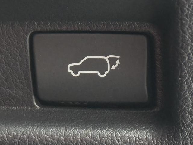 ＵＸ ＵＸ２５０ｈ　Ｆスポーツ　赤革　ＴＲＤフロントスポイラー　ＴＲＤサイドスカート　同色エアロフェンダー　ムーンルーフ　ルーフレール　パノラミックビューモニター　３眼ＬＥＤ　おくだけ充電　前後ドライブレコーダー　禁煙車（18枚目）