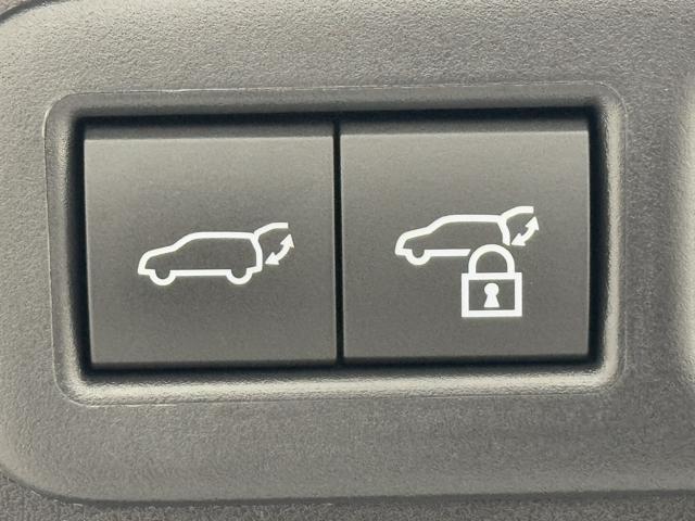 UX UX200 Fスポーツエモーショナルエクスプローラ マイナー後モデル 専用ブラック&レッドLtex ブラックルーフ 同色フェンダーアーチ ムーンルーフ 3眼LEDヘッドランプ パノラミックビューモニター BSM シートヒーター シートクーラー 禁煙車(19枚目)